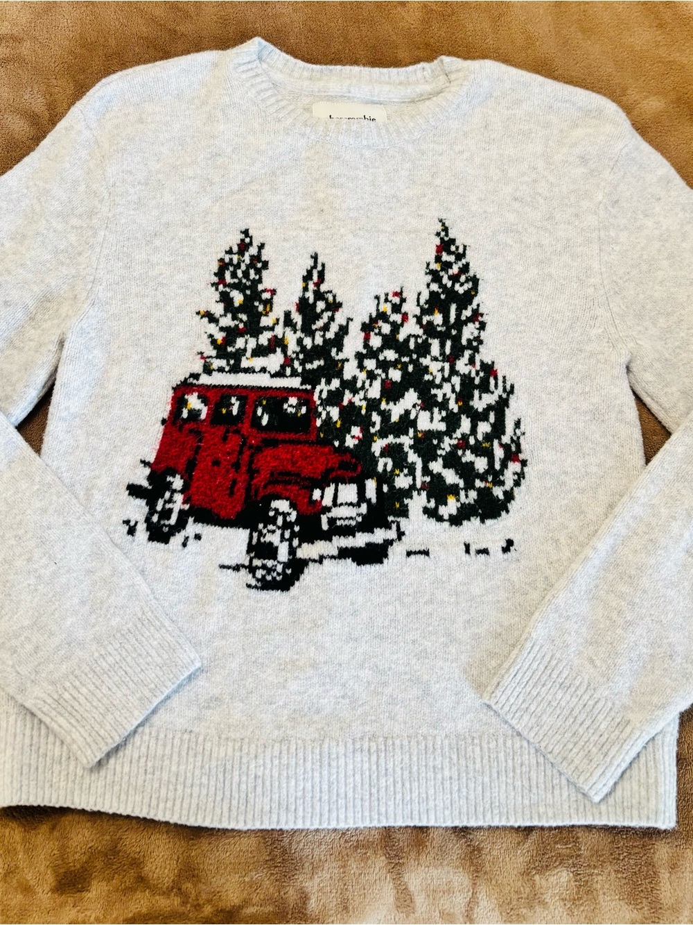 Abercrombie and Fitch Red Truck Graphic Soft Sweater in kids size 9/10